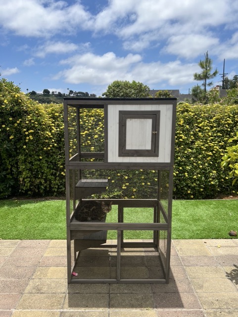 Tall outdoor cat enclosure on a backyard patio before haul-away
